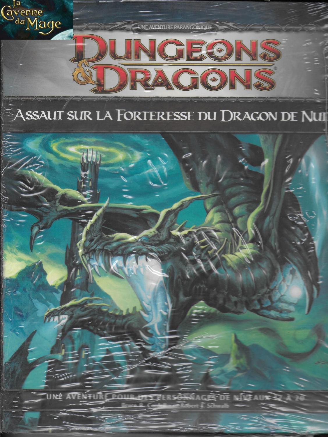 DUNGEONS & DRAGONS - Assaut sur la Forteresse du Dragon de Nuit P3