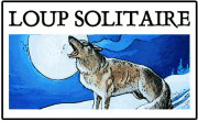 Loup Solitaire : Le Jeu de Rôle